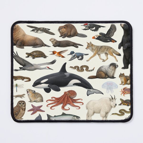 Item preview, Animals of Washington Retro Style Identification Chart designed and sold by kakarikihill.