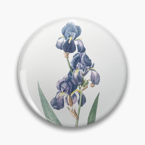 Item preview, Dalmatian Iris Flowers Botanical Illustration designed and sold by TheRetroArtRoom.