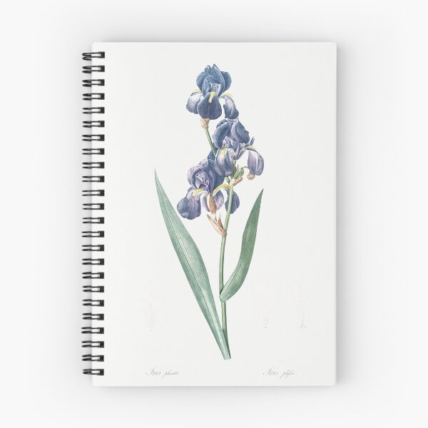 Item preview, Dalmatian Iris Flowers Botanical Illustration designed and sold by TheRetroArtRoom.