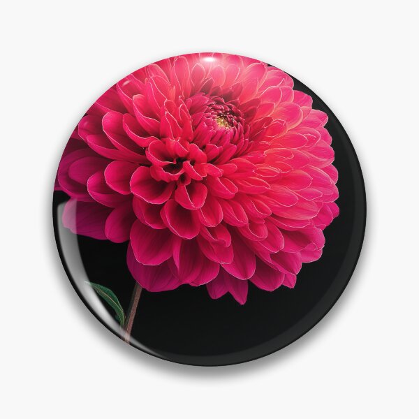 Item preview, Vibrant Pink Dahlia Flower in Full Bloom designed and sold by colorful-white.