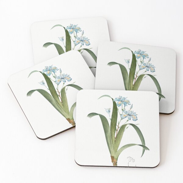 Item preview, Iris Japonica Flowers Botanical Illustration designed and sold by TheRetroArtRoom.