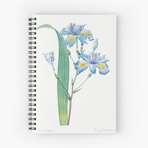 Item preview, Iris Japonica Flowers Botanical Illustration designed and sold by TheRetroArtRoom.