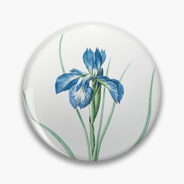 Artikelvorschau, Botanische Illustration der Iris latifolia (Blüte) entworfen und verkauft von TheRetroArtRoom.
