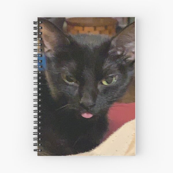 Item preview, Derpy Black Cat designed and sold by immortalmoonimp.