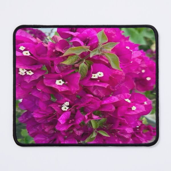 Item preview, Vibrant Magenta Bougainvillea Vine Garden Photography designed and sold by BalkanBloom.