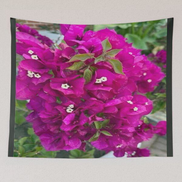 Item preview, Vibrant Magenta Bougainvillea Vine Garden Photography designed and sold by BalkanBloom.