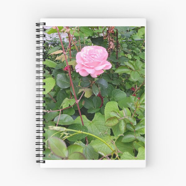 Item preview, Rose Petals designed and sold by Goldentigeress3.