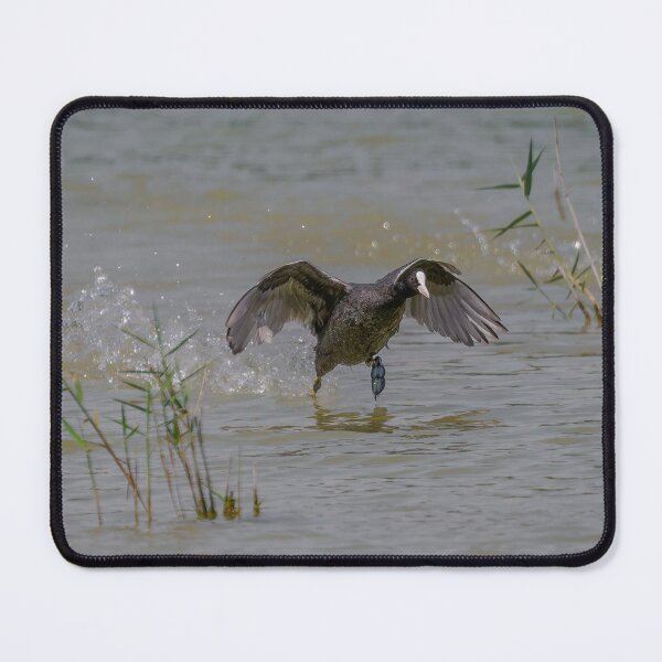 Item preview, Running on Water 1 designed and sold by Ralph Goldsmith.