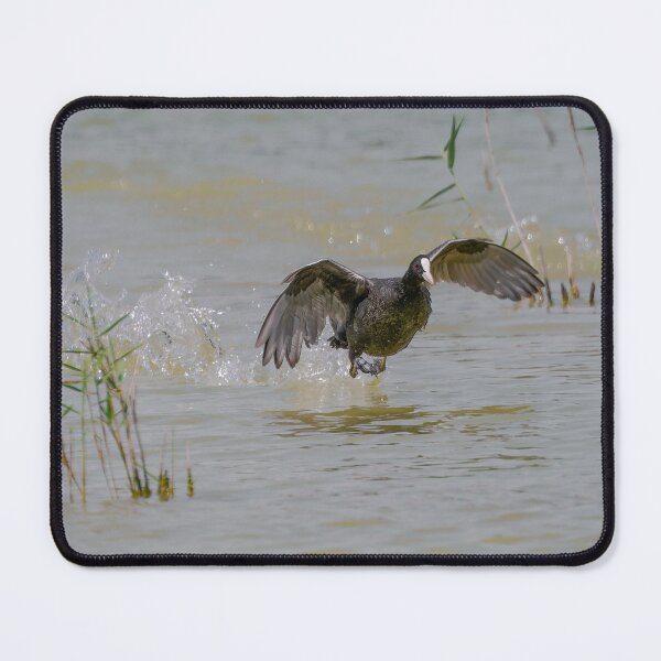 Item preview, Running on Water 2 designed and sold by Ralph Goldsmith.