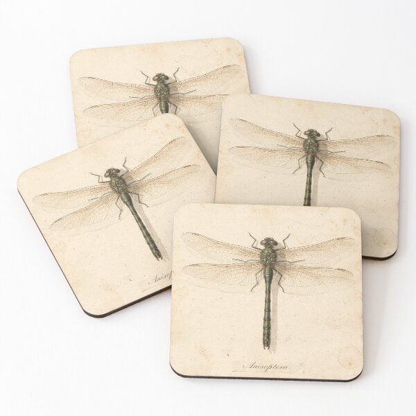 Item preview, Vintage Dragonfly Specimen Natural History Plate designed and sold by PictorialWhimsy.