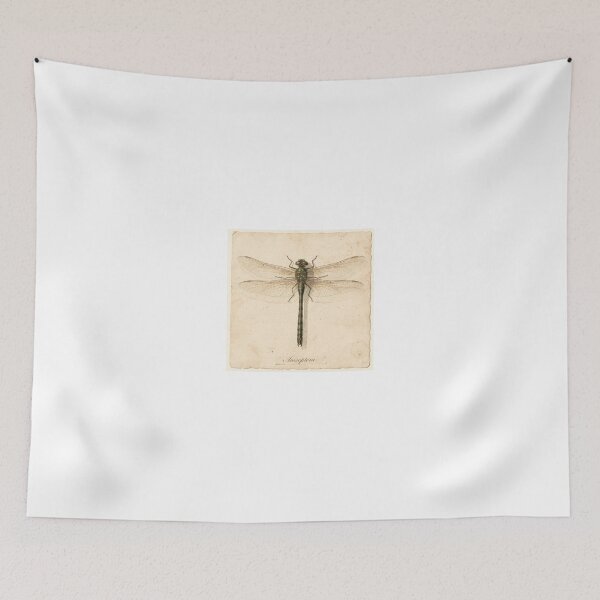 Item preview, Vintage Dragonfly Specimen Natural History Plate designed and sold by PictorialWhimsy.