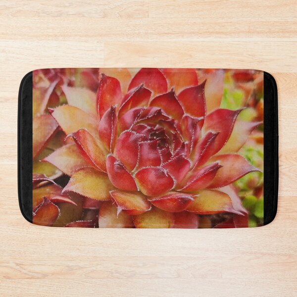 Item preview, Amor Sempervivum Siempreviva designed and sold by Duncan-Mac.