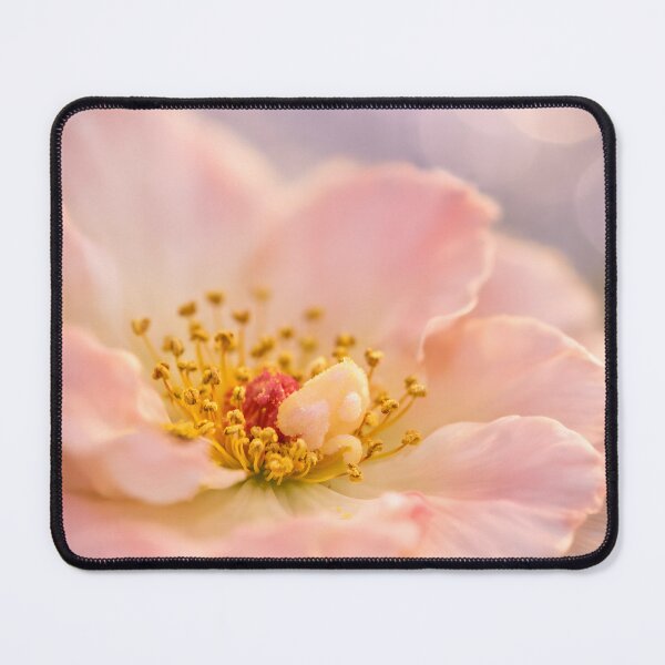 Item preview, Soft Blush Petal Glow designed and sold by Violafleurviolett.