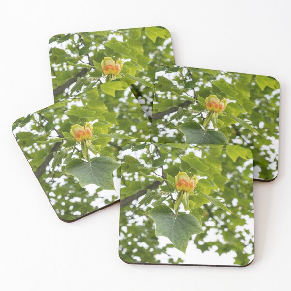 Item preview, Distinct Yellow Orange Tulip Tree Blossom in Lush Green Canopy designed and sold by Georgia Mizuleva.