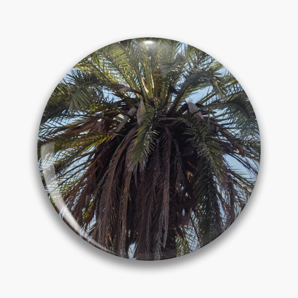Item preview, Tall Palm Tree Against Clear Blue Sky With Lush Fronds and Tropical Vibe designed and sold by Nmallia.