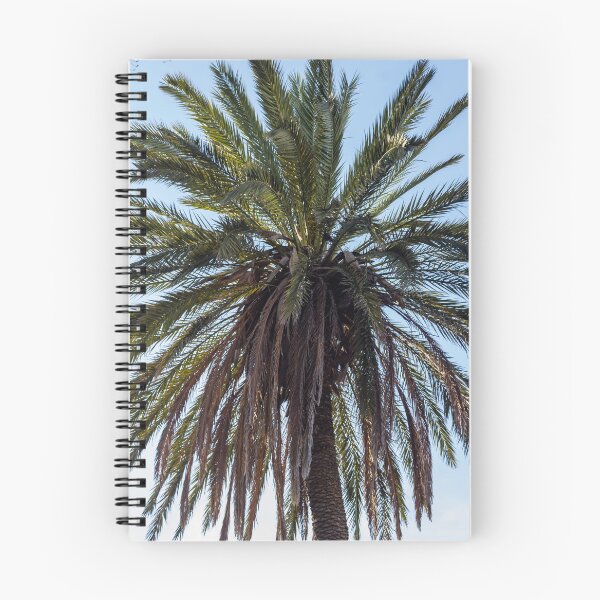 Item preview, Tall Palm Tree Against Clear Blue Sky With Lush Fronds and Tropical Vibe designed and sold by Nmallia.