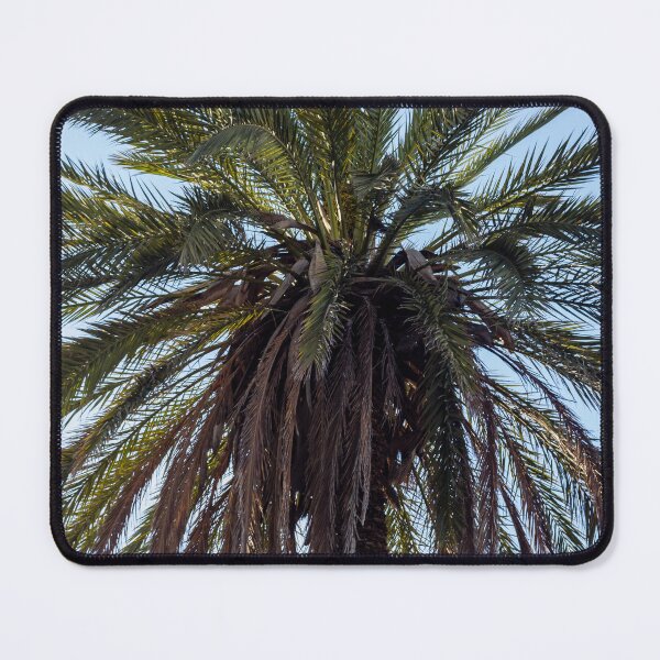 Item preview, Tall Palm Tree Against Clear Blue Sky With Lush Fronds and Tropical Vibe designed and sold by Nmallia.