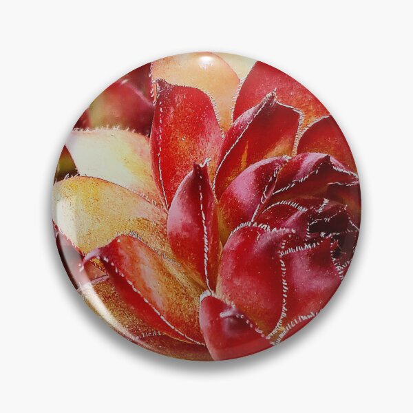 Item preview, A Succulent Sempervivum designed and sold by Duncan-Mac.