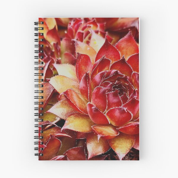 Item preview, A Succulent Sempervivum designed and sold by Duncan-Mac.