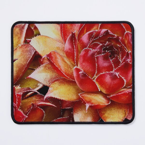 Item preview, A Succulent Sempervivum designed and sold by Duncan-Mac.