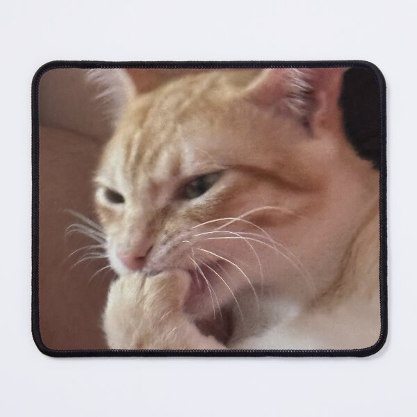 Item preview, orange cat meme designed and sold by Ali-neko-kawaii.