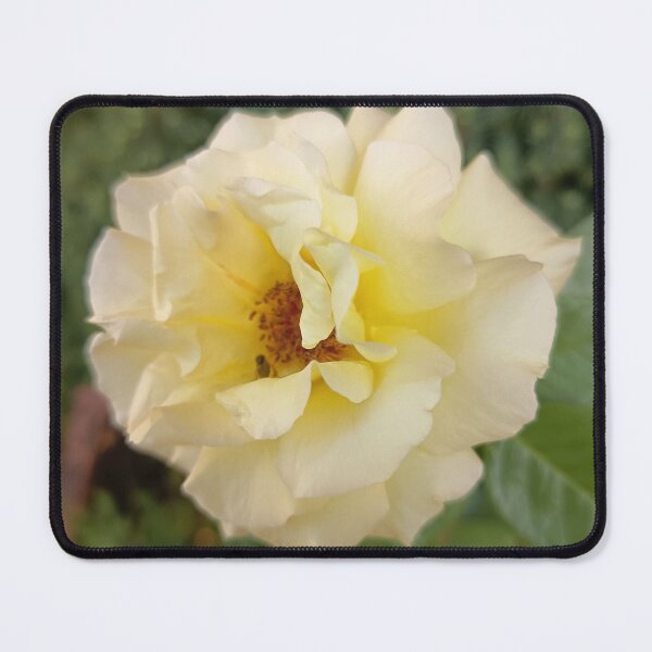 Item preview, Yellow Rose Evergreen Garden Landscape designed and sold by PhuongVoArt.
