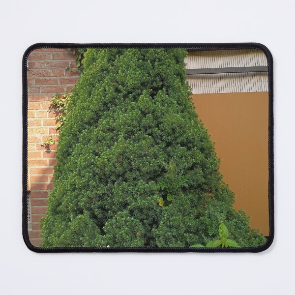 Item preview, Evergreen Tree With Yellow Rose designed and sold by PhuongVoArt.