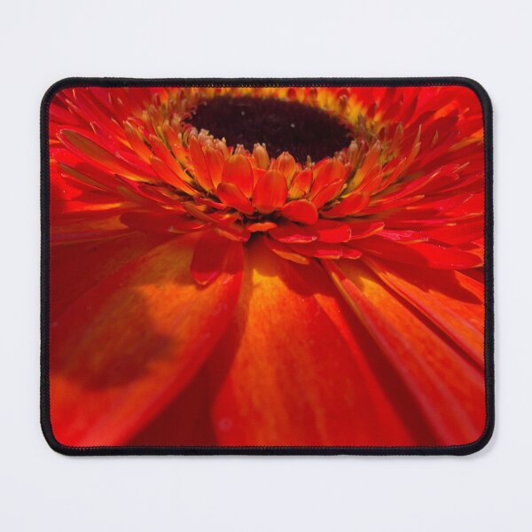Item preview, Fiery Gerbera Daisy designed and sold by Betsy Phillips.