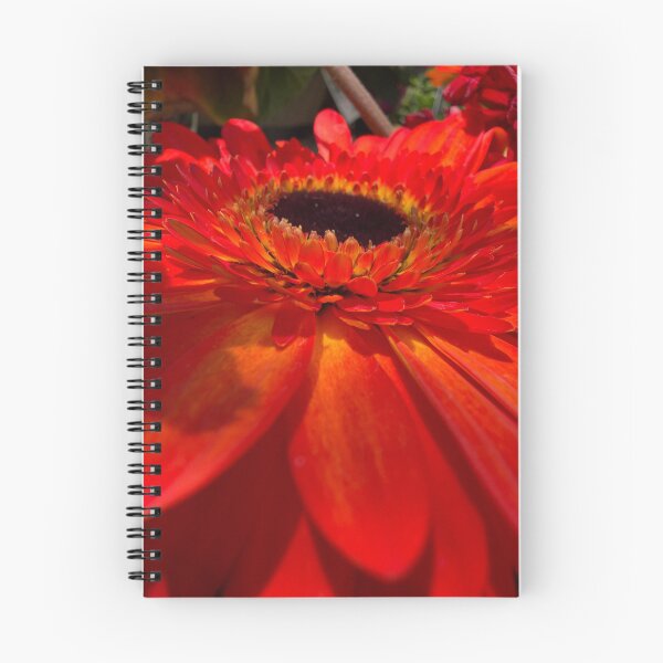 Item preview, Fiery Gerbera Daisy designed and sold by Betsy Phillips.