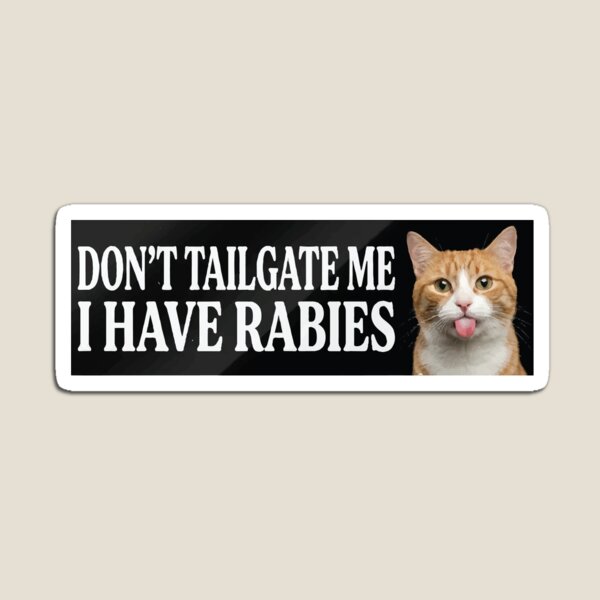 Item preview, Dont Tailgate Me I Have Rabies Funny Orange Cat Bumper designed and sold by raedattia.