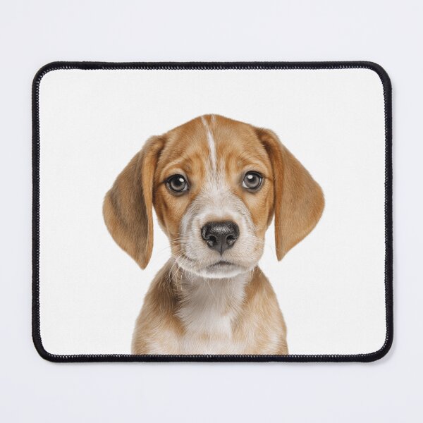 Item preview, Adorable Harrier pup for Cute Harehound puppy lovers designed and sold by LazyOwlStore.
