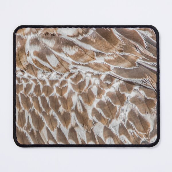 Item preview, Natural beauty of bird feathers designed and sold by DFLC Prints.