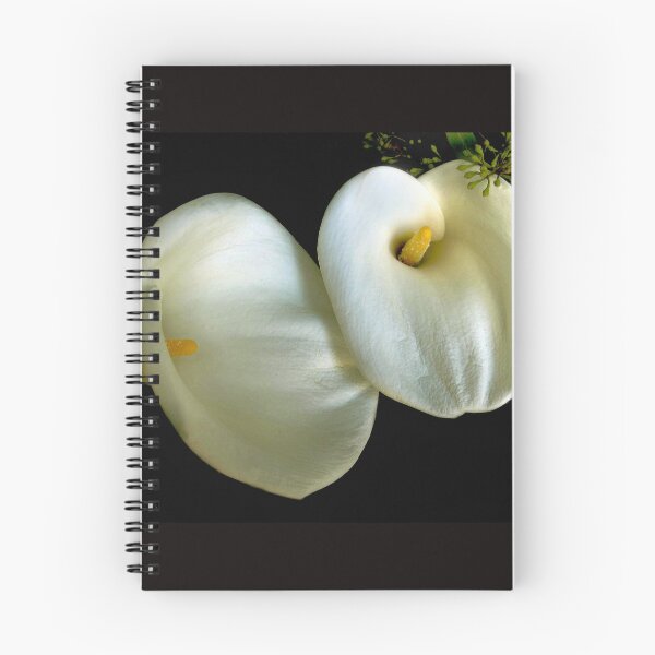 Item preview, The Calla Lilies are in Bloom designed and sold by Jessica Jenney.