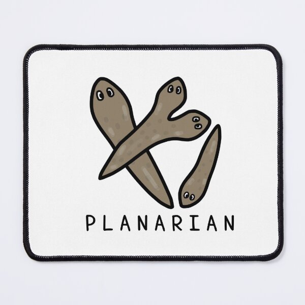 Item preview, Cute PLANARIAN designed and sold by kanaehonkawa.