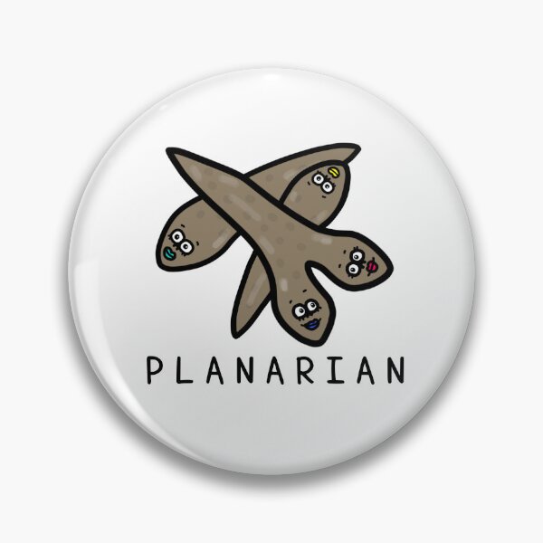 Item preview, Cute PLANARIAN designed and sold by kanaehonkawa.