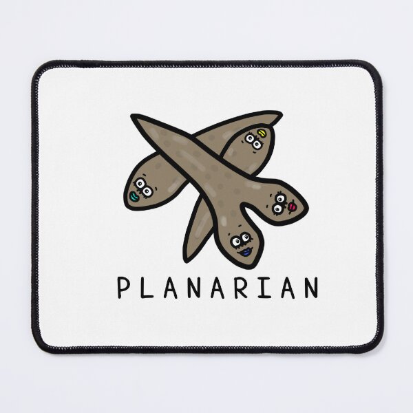 Item preview, Cute PLANARIAN designed and sold by kanaehonkawa.