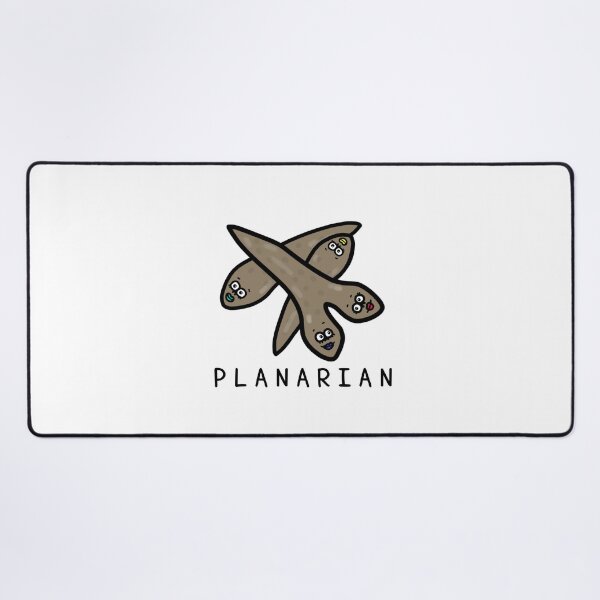 Item preview, Cute PLANARIAN designed and sold by kanaehonkawa.