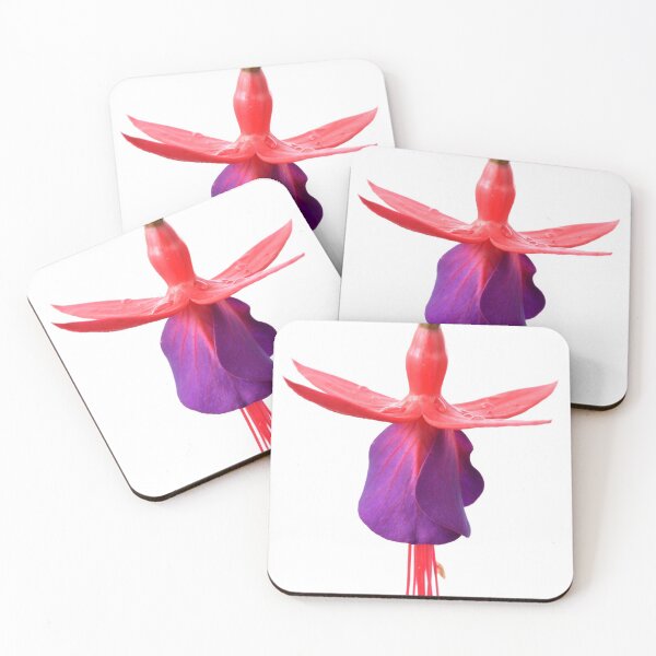 Item preview, Fuchsia  FuchsiaBerry designed and sold by Chris Burrows.