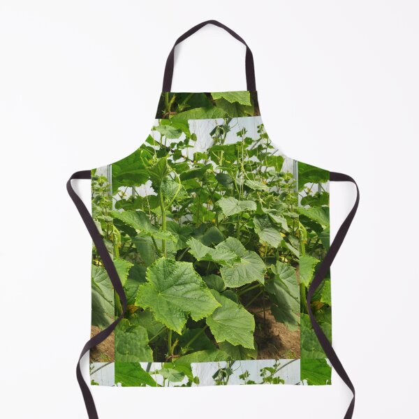 Item preview, Cucumber Plants Photography designed and sold by Sky-99.