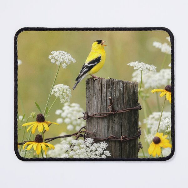 Item preview, Yellow Finch on a Fence Post designed and sold by Maria Dryfhout.