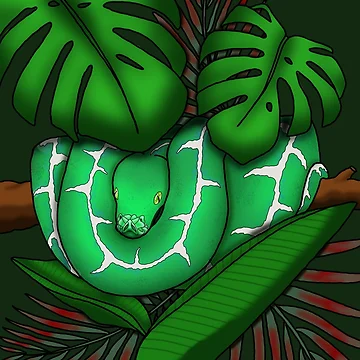 Artwork thumbnail, Green tree python by DoodleScutes