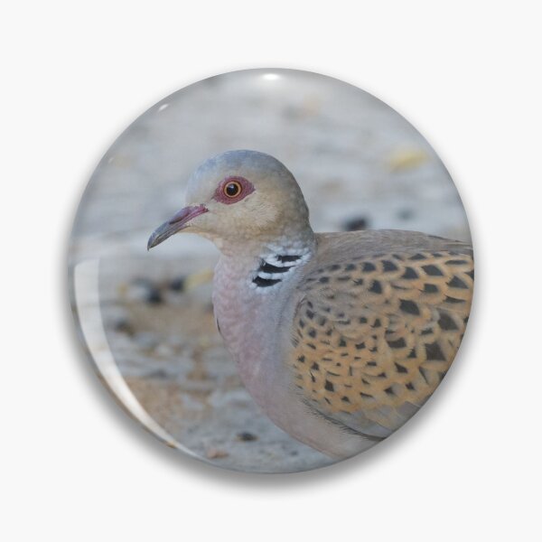 Item preview, European Turtle Dove designed and sold by LaurenTucker.