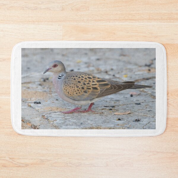 Item preview, European Turtle Dove designed and sold by LaurenTucker.