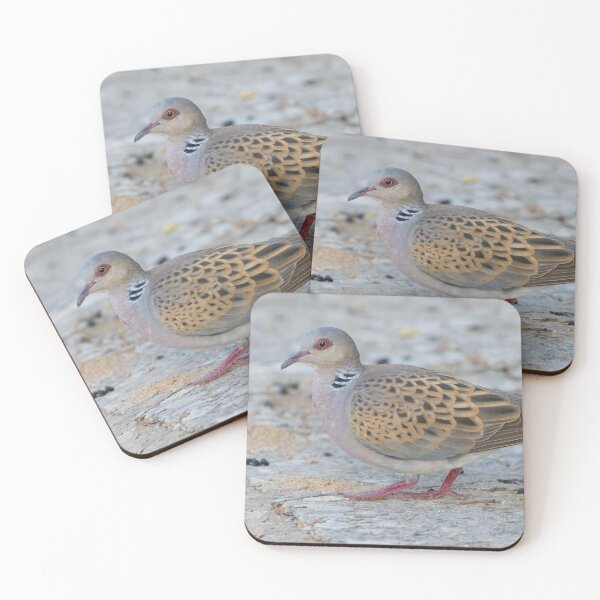Item preview, European Turtle Dove designed and sold by LaurenTucker.
