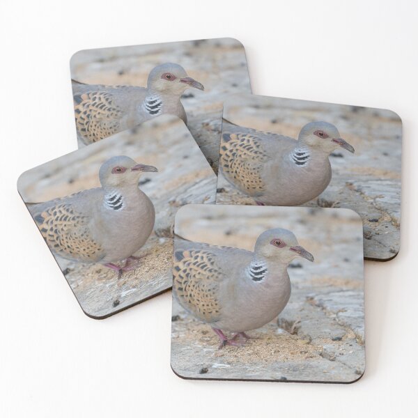 Item preview, European Turtle Dove designed and sold by LaurenTucker.