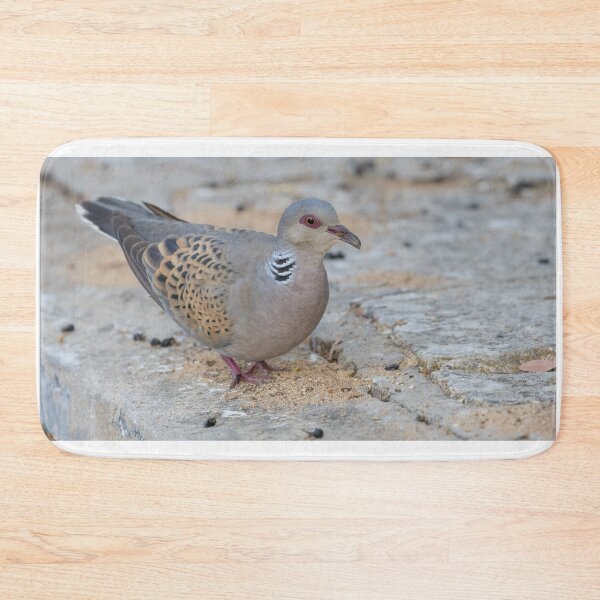 Item preview, European Turtle Dove designed and sold by LaurenTucker.
