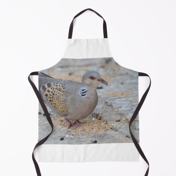 Item preview, European Turtle Dove designed and sold by LaurenTucker.