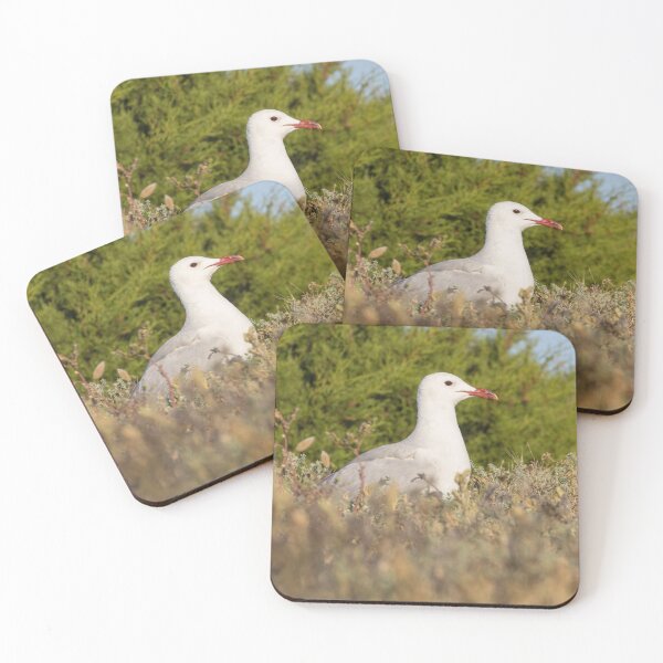 Item preview, Audouin's Gull designed and sold by LaurenTucker.