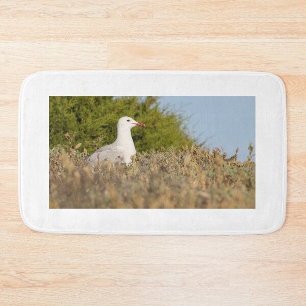 Item preview, Audouin's Gull designed and sold by LaurenTucker.