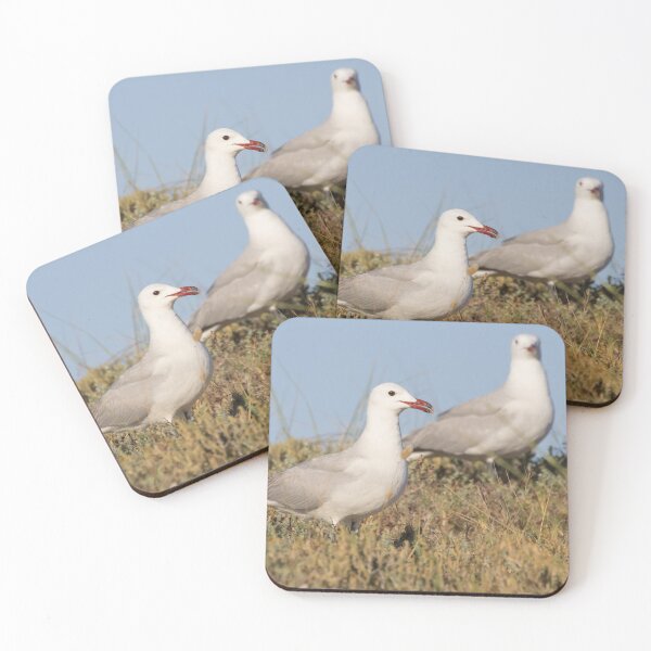Item preview, Audouin's Gull designed and sold by LaurenTucker.